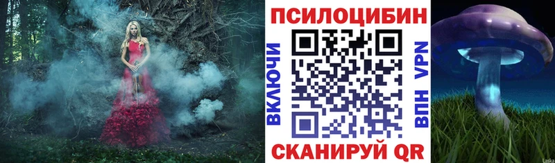 Псилоцибиновые грибы мицелий  продажа наркотиков  Ступино 